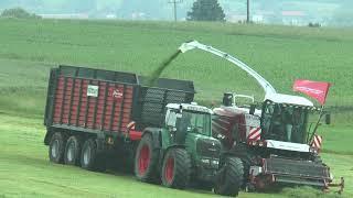 Rostselmash RSM F 2650 + Fendt 930 Vario TMS on grassland demo in Germany