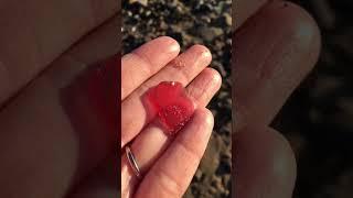 Pink Sea Glass! From BEACH to NECKLACE! Scottish sea glass hunt #seaglass #beach #shorts #jewellery