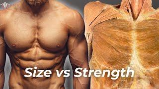 Strength vs Hypertrophy: The Science of How to Build Muscle