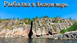 Рыбалка в БЕЛОМ МОРЕ. Чупа. Остров Кишкин.