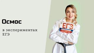 Осмос в заданиях ЕГЭ по биологии