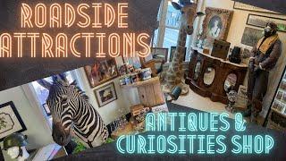 Roadside Attractions Antique & Curiosity Shop - Complete Walkthrough - Metamora, MI