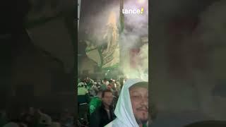 Se liga nos palmeirenses comemorando o gol do Vasco EM PLENO ANIVERSÁRIO DO ALVIVERDE! 