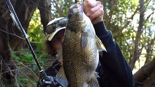 Glide Baiting Structure For BIG Aussie Bass!