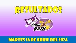 RESULTADOS SORTEO GANA GATO DEL MARTES 16 DE ABRIL DEL 2024