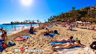 Gran Canaria Anfi del Mar Beach Life Christmas 2021 | We️Canarias