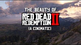 The Beauty Of Red Dead Redemption 2 | 4K 60FPS