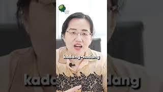 Ciri-ciri keluarga yang tidak sehat #shorts #short #trending #shortvideo #parenting #tanambenih
