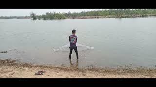 New net #fishing #fish #viral #video