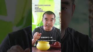 古树茶避坑指南，茶农经验分享#古树茶 #普洱茶避坑 #茶农 #金色东方古茶庄园
