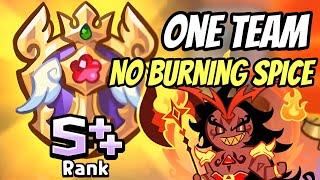 S++ Rank Player Beast Raid Avatar of Ruin Expert Mode (One Team Only) I No Burning Spice Cookie