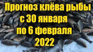 Прогноз клева рыбы на Эту неделю с 30 Января по 6 Февраля 2022 Лунный календарь рыбака на февраль