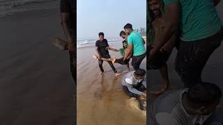 OOO  Taku Haladi Lagei Dia 