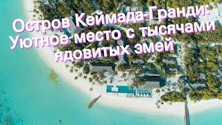 Остров Кеймада-Гранди: Уютное место с тысячами ядовитых змей