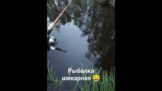 Сургут рыбалка