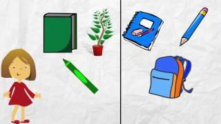 Sorting Common Objects | Kindergarten Language | eSpark Instructional Video