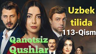 Qanotsiz Qushlar 113-Qism uzbek tilida Канотсиз Кушлар 113-Кисм узбек тилида