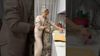 Готовим ужин с дочей Кто хочет к нам на ужин ?