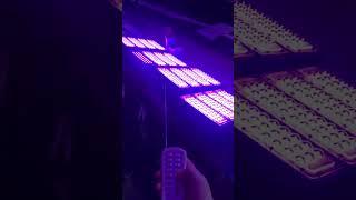 200watt  led flood light
