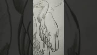 Crane drawing|| Easy|| Let's draw with Akanksha 