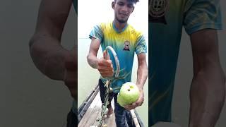 Traditional viral fishing technique padma river 4 #fishing #villagelife #shorts