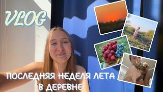 ВЛОГ | ДЕРЕВНЯ | ПРЕЛЕСТИ ЧАСТНОГО ДОМА