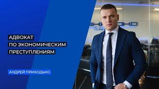 Адвокат по экономическим преступлениям. Помощь в уголовных делах, связанных с экономикой, налогами