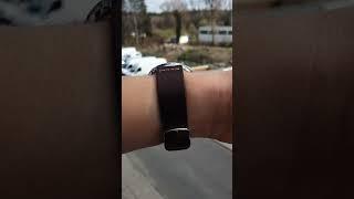 Orient All Rounder Excellent Watch for 150€ #affordablewatches