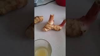 Galangal root