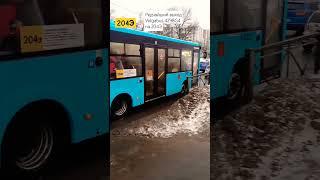 Редчайший выход Volgabus 4298G4 б.6822 на маршрут 204Э #цой #shaman @petersburgtransport921