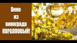 Сухое вино из винограда КОРАЛЛОВЫЙ! Домашнее сухое вино.