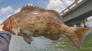 2 Hours Uncut Fishing With Pinfish And Lures (Florida Saltwater Kayak Fishing)