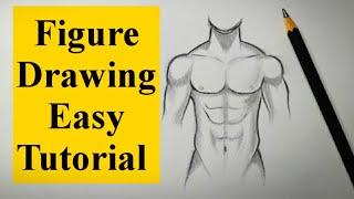 How to draw human figure drawing Male Torso easy for Beginners| Pencil drawing tutorial easy Basics