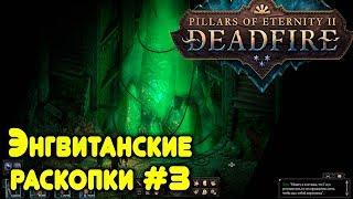 Игра Pillars of Eternity 2 Deadfire - прохождение. Энгвитанские раскопки и пополнение отряда #3