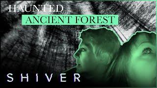Shiver - Paranormal Documentaries Full Episode: Ghosts of Pembry Woods