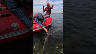 Поймали ОЕсетра в МОРе  с черной икрой  во Владивосток