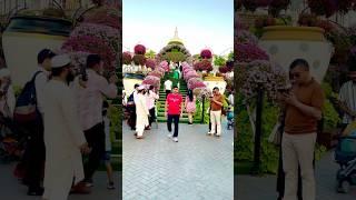 Dubai Miracle Garden  #love #trending #shorts #viralshort #youtubeshorts #youtube