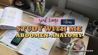 Real time study with me - Anatomy Abdomen
