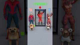 Please help the dog escape from prison. #funny #dog #shorts #cat