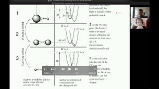 Photoinduced Electron Transfer - The Classical Marcus Theory, René M. Williams, UvA