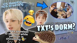 What goes on inside TXT's dorm? (txt dorm stories)