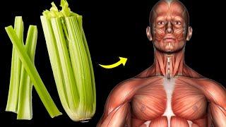 What Happens To Your Body When You Eat Celery Everyday