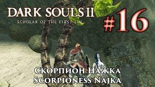 Скорпион Нажка: Dark Souls 2 / Дарк Соулс 2 - тактика как убить, как победить босса ДС2