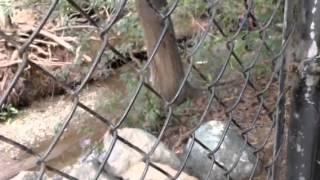 Creek crossing. Man and woman. 3-9-14