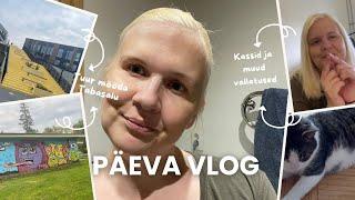 Päeva vlog - Tabasalu tutvustusringkäik, kassid ja muud vallatused