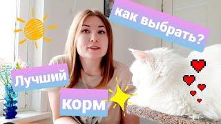 Лучшие корма для кошек. Чем кормить кота мейн-куна. Холистики?