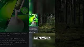 3 500 РУБЛЕЙ В ЧАС (БЕЗ ВЛОЖЕНИЙ! ) СМОТРИ ПОЛНОЕ ВИДЕО  КАК ЗАРАБОТАТЬ В ИНТЕРНЕТЕ 2025