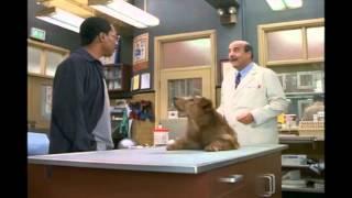 Dr. Dolittle