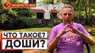 Что такое ДОШИ? • ВАСИЛИЙ ТУШКИН