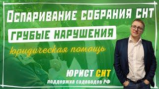 Оспаривание общего собрания членов товарищества - Председатель СНТ, СНТСН